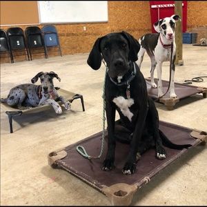 Meet your Posher, Melissa